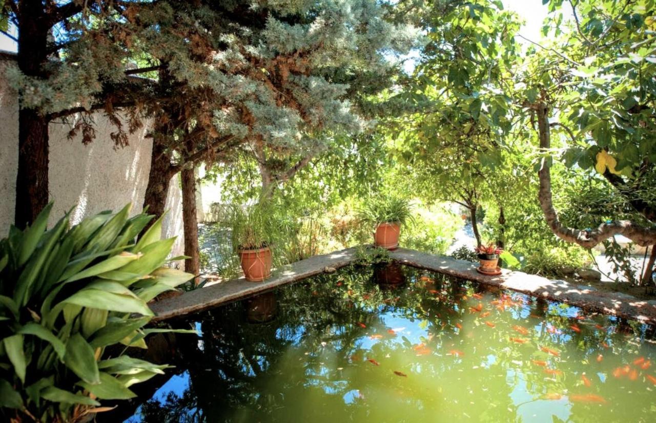 Casa Jazmin Ξενοδοχείο Orgiva Εξωτερικό φωτογραφία