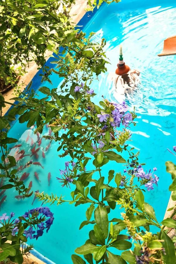 Casa Jazmin Ξενοδοχείο Orgiva Εξωτερικό φωτογραφία